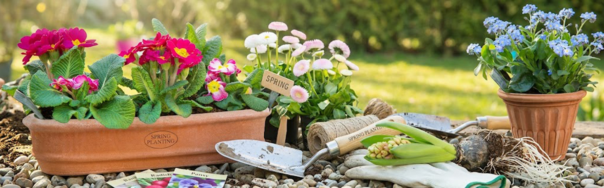 Frühling-Terracotta,-Italien,-Impruneta