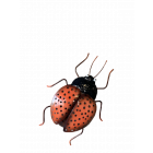 Eisenfigur Marienkäfer, Marienkäferfigur, Käfer, Insekt, Gartenfigur, Tierfigur