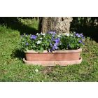 Impruneta Terracotta, Cassetta da davanzale stondata, Blumengefäß