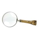 Lupe, A MAGNIFYING GLASS