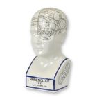 Porzellanfigur Phrenologie-Kopf (Seelenlehre), Höhe 30,4 cm, A PORCELAIN PHRENOLOGY HEAD