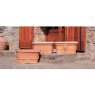 Impruneta Terracotta, Vasche Ovali II, ovaler Pflanztopf (rechter Pflanztopf)