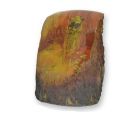 Künstliches Bernsteinfossil mit Zikade (Zirpe), A CICADA ARTIFICIAL AMBER FOSSIL