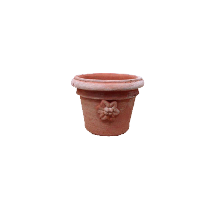 Galestro Terracotta Pflanztopf – Conchino Con Rosetta – H 9 × D 13 cm