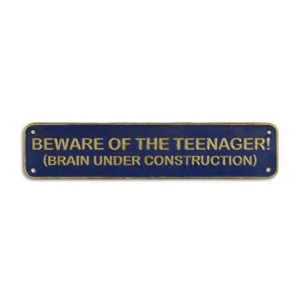 Gusseisen-Schild, A CAST IRON "BEWARE OF THE TEENAGER..." PLAQUE
