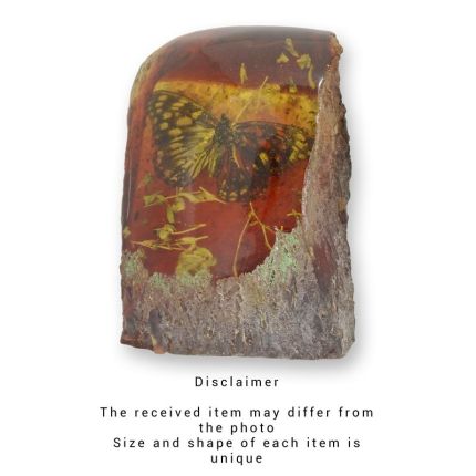 #A BUTTERFLY ARTIFICIAL AMBER FOSSIL