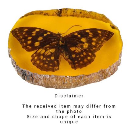 #A PAIR OF BUTTERFLY ARTIFICIAL AMBER FOSSILS