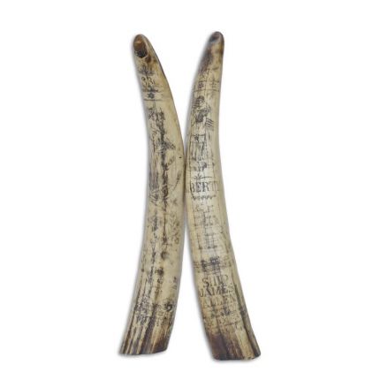 Walzahn - Kunststein - Länge 47,5 cm