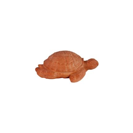 Terracotta Galestro, tartaruga decorativa