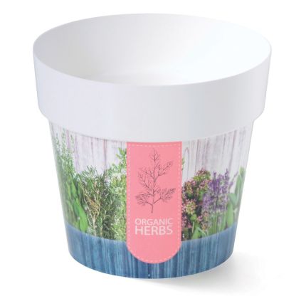 IML Kräutertopf Extended  H2