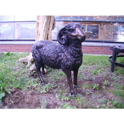 Bronze Figur, Widder, Tierfigur, Figur, Bronzefigur, Kopf