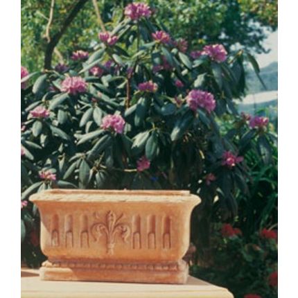Impruneta Terracotta, Cassetta scannellata con giglio, Blumenkasten, rechteckig, länglich, verziert, Rechtecktopf, Terracottatopf