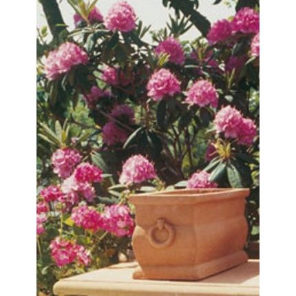 Impruneta Terracotta, Cassetta scannellata con giglio, Blumenkasten, rechteckig, länglich, schlicht, Dekorringe, Rechtecktopf, Terracottatopf