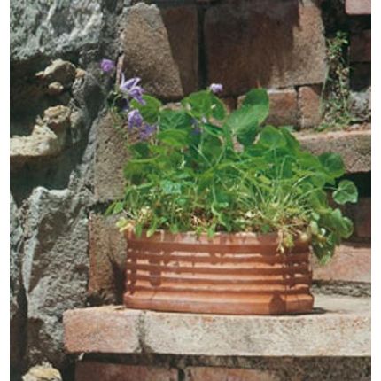 Impruneta Terracotta, Ovale rigato, Pflanzschale, Rund