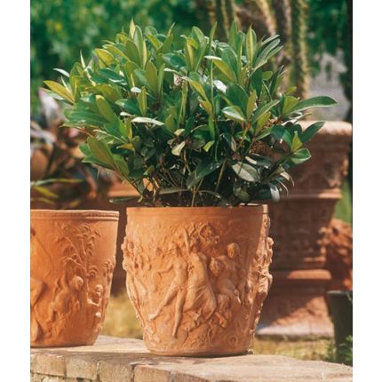 Impruneta Terracotta, Vaso 4 stagioni, Blumentopf, Pflanzgefäß, verziertes Gefäß
