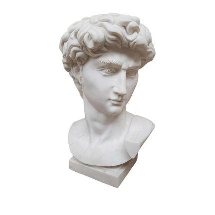 Marmorbüste David, A MARBLE BUST OF DAVID