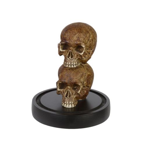 Polyresin-Sch&auml;del mit Glaskuppel, A RESIN SKULL UNDER GLASS DOME