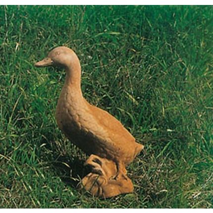 Impruneta Terracotta, Anatra grande, Figur, Ente, Vogel, Tier