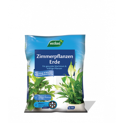Zimmerpflanzen Erde 