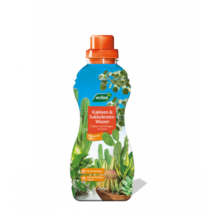 Westland Kakteen und Sukkulenten Wasser 720 ml