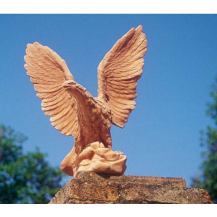  Impruneta Terracotta, Aquila, Figur, Vogel, Adler