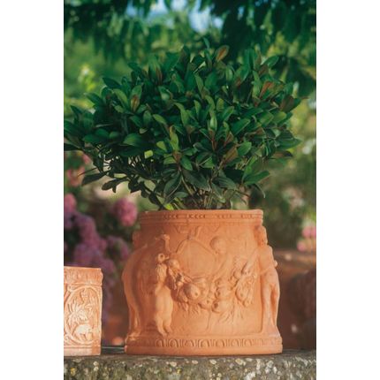 Impruneta Terracotta, Cilindro con putti, Pflanzgefäß, Blumentopf, Zylinder, verziertes Gefäß