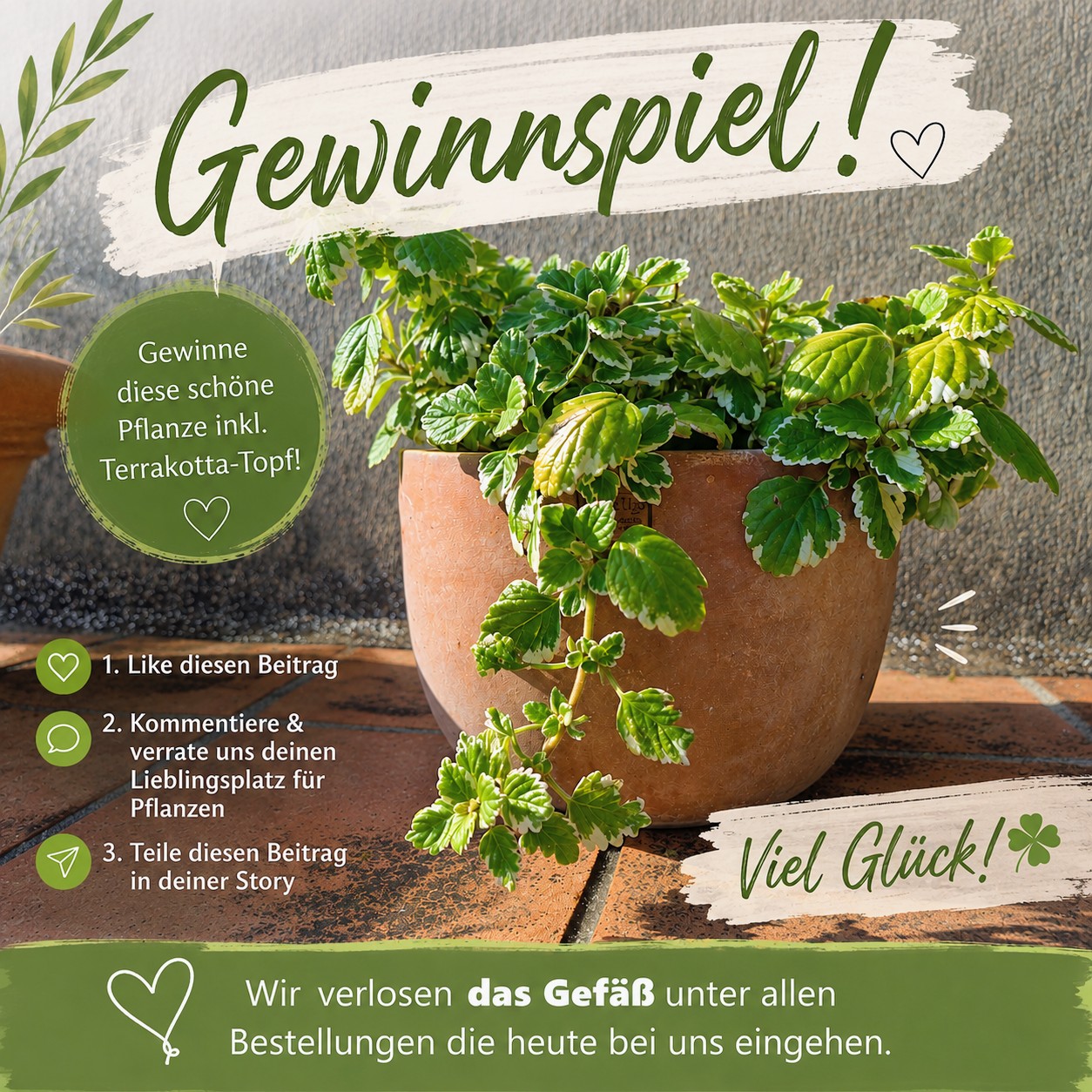 Gewinnspiele impruneta.de