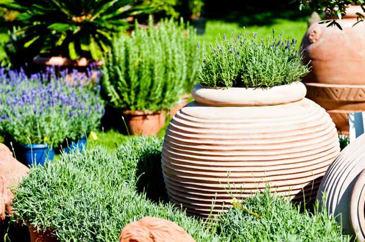 Terracotta Italien Kr&auml;uter